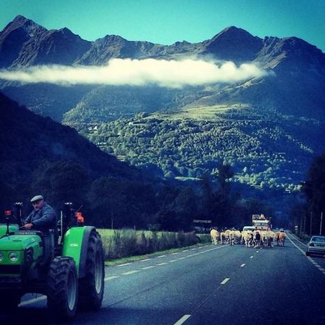 L'heure de pointe en vallée d'Aure le 8 octobre - Nicolas Bonneau's Photos | Facebook | Vallées d'Aure & Louron - Pyrénées | Scoop.it