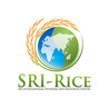 SRI Global News: February - April 2024 **sririce -- System of Rice Intensification