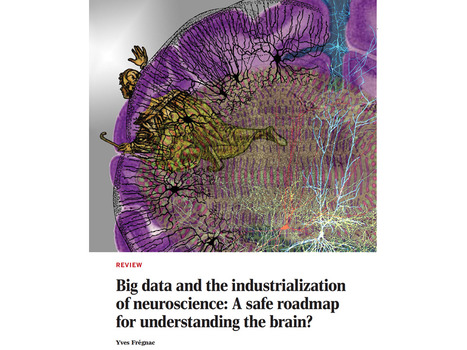 Big data and the industrialization of neuroscience: A safe roadmap for understanding the brain? | Life Sciences Université Paris-Saclay | Scoop.it