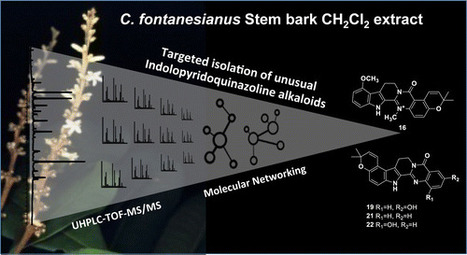 Targeted Isolation of Indolopyridoquinazoline Alkaloids from Conchocarpus fontanesianus Based on Molecular Networks | Natural Products Chemistry Breaking News | Scoop.it