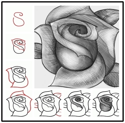 Wonderful Idea For Drawing A Beautiful Rose | Drawing and Painting Tutorials | Scoop.it