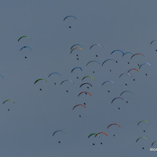 Ballet des parapentistes en ce lundi 20 juin 2016 #ffvl | Vallées d'Aure & Louron - Pyrénées | Scoop.it