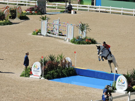 Qu’en est-il de la santé et du bien-être des chevaux de sport dans les disciplines olympiques ? | vetitude | Scoop.it