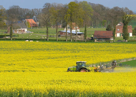 La stratégie Écophyto 2030 enfin publiée | Banque des territoires / Localtis | La SELECTION du Web | CAUE des Vosges - www.caue88.com | Scoop.it