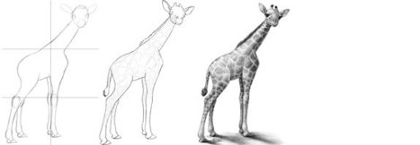 How to Draw a Baby Giraffe | Drawing and Painting Tutorials | Scoop.it