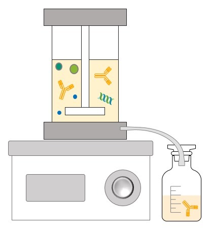 Purification of mAbs in a UF Stirred Cell | iBB | Scoop.it