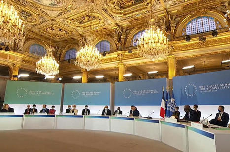 One Planet Summit : 50 États sont désormais engagés à préserver 30 % de la planète d’ici 2030 | Vers la transition des territoires ! | Scoop.it