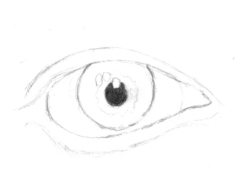 Drawing the Human Eye » OnlyPencil Drawing Tutorials | Drawing and Painting Tutorials | Scoop.it