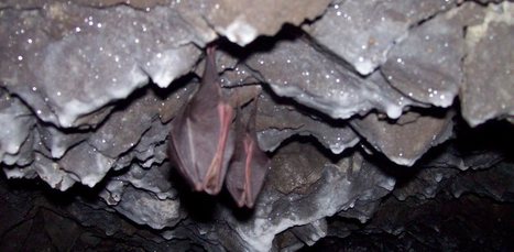 À la découverte de la mine de manganèse de Pouchergues  | Vallées d'Aure & Louron - Pyrénées | Scoop.it