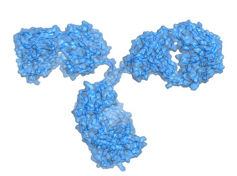 A Microfluidic Toolbox for the Optimization of Aqueous Two Phase Antibody Extraction | iBB | Scoop.it