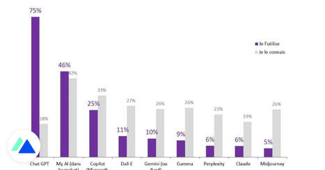 Les jeunes et l’IA en 2024 : fréquence d’usage, outils préférés, perception… | Digital News in France | Scoop.it