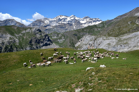 La Sierra de Liena : de la Punta Liena à la Punta Ruego | Vallées d'Aure & Louron - Pyrénées | Scoop.it