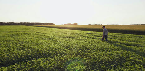 Agriculture, alimentation, environnement, santé : à quand des politiques enfin cohérentes ? | Energy Transition in Europe | www.energy-cities.eu | Scoop.it