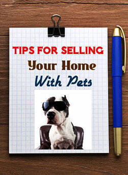 How to Sell A Home When You Have Pets | Real Estate Articles Worth Reading | Scoop.it