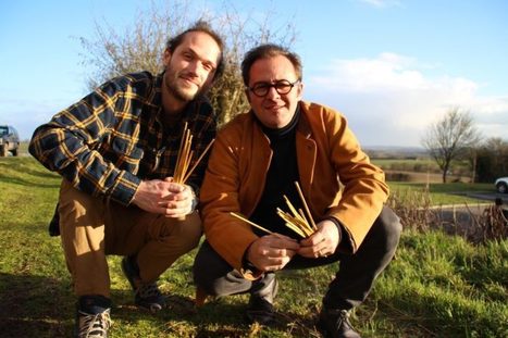 « La Perche », une première paille en paille made in Orne pour oublier le plastique – actu.fr | Eco-conception | Scoop.it