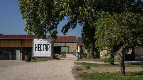 Agriculture : Hectar connecte coopératives et entrepreneurs | Actualité Bétail | Scoop.it