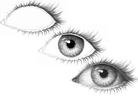 Eyelashes on an eye | Drawing and Painting Tutorials | Scoop.it