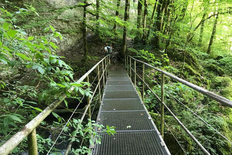 200 circuits dans la poche pour partir à l'aventure, le Département du Doubs vous propose son "compagnon numérique" pour la randonnée | Tourisme de randonnées                                                                                                                                                                                 & Sports de nature pour les pros | Scoop.it