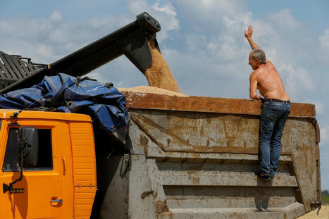 TRADE: Russia declares crop emergency but says it will meet export commitments | COMMERCE & LOGISTIQUE | Scoop.it