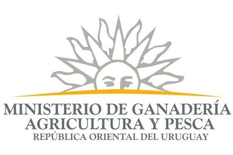 Mgap - Profesional con  formación y experiencia en evaluación de impacto de políticas agropecuarias con énfasis en técnicas de análisis cuantitativo - Mayo 2017 | Evaluación de Políticas Públicas - Actualidad y noticias | Scoop.it