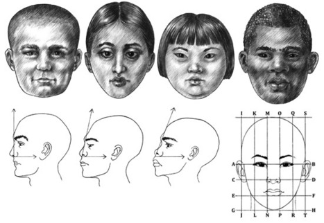 Adult Facial Proportions | Drawing References and Resources | Scoop.it