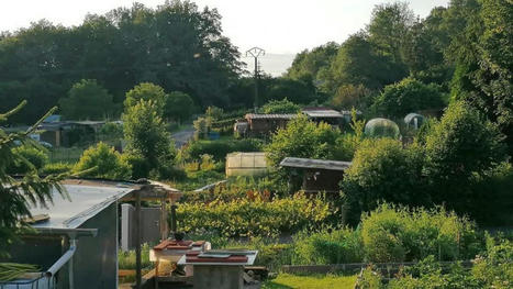 Le plan France Relance soutient également… les jardins partagés | Vosges Télévision | La SELECTION du Web | CAUE des Vosges - www.caue88.com | Scoop.it