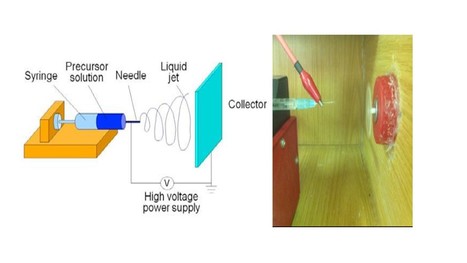 Nanofibers for Biocatalysis | iBB | Scoop.it