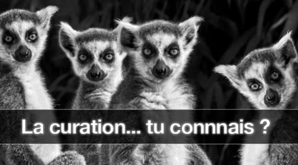 Community Manager ! La curation au service de votre entreprise | Curation, Veille et Outils | Scoop.it