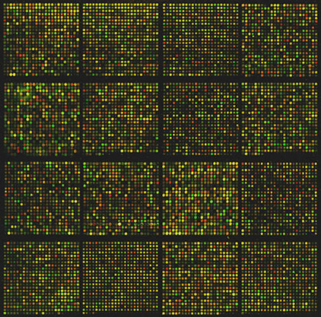 Portugal Joins Leading European Bioinformatics Research Infrastructure | iBB | Scoop.it