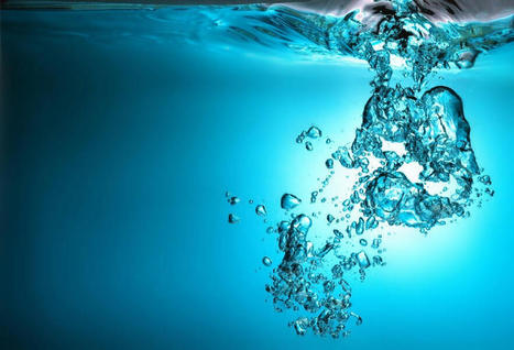 World Water Day: let us recognize the importance of water as a vital resource | Tribunes | Scoop.it