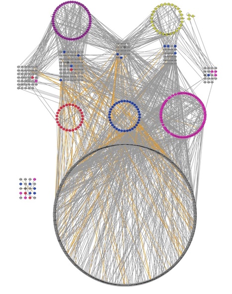 Database: Plant-Pathogen Immune Network visualization website | Plants and Microbes | Scoop.it