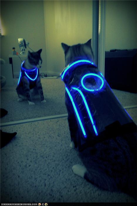 TRON Kitteh | Lolcats | Scoop.it