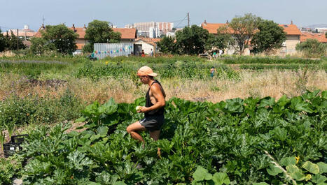 Cité de l'agriculture de Marseille : accompagner les agriculteurs de demain dans les villes | Attitude BIO | Scoop.it