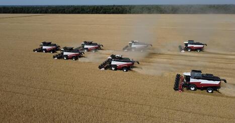 Russian farmers fight to salvage harvest as major region cuts forecast - Reuters.com | Agents of Behemoth | Scoop.it