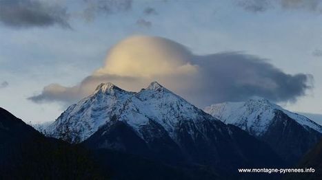 Méduse échouée sur les pics de la vallée - Timeline Photos | Facebook | Vallées d'Aure & Louron - Pyrénées | Scoop.it