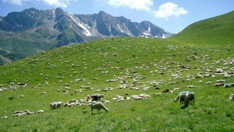 La semaine pour les alternatives aux pesticides | Vallées d'Aure & Louron - Pyrénées | Scoop.it