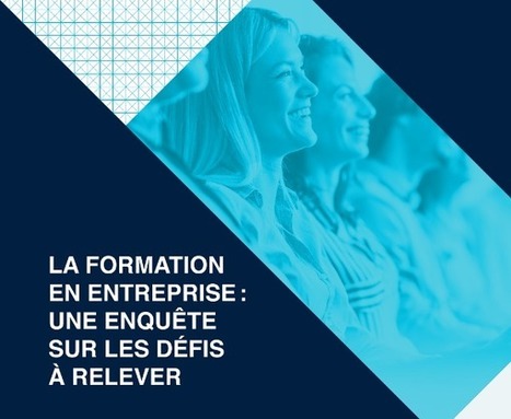 Formation en entreprise : les défis à relever | Formation : Innovations et EdTech | Scoop.it