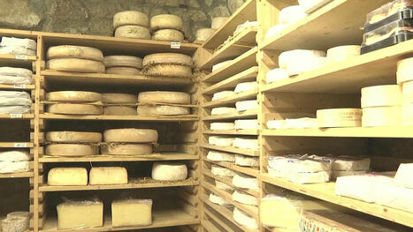 Les Français et le fromage : une longue histoire d'amour qui évolue | Euronews | Actualités pour Hémisphères Gauche et Droit | Scoop.it