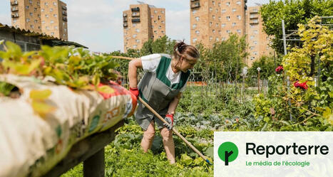 Près de Paris, des potagers de nouveau menacés par les tractopelles | Attitude BIO | Scoop.it