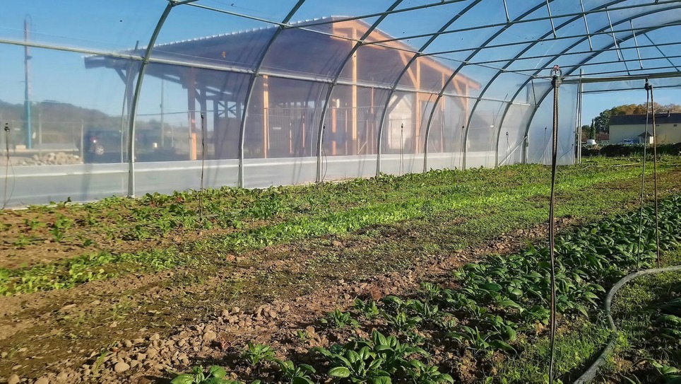 La relocalisation alimentaire et la lutte contre l'isolement des agriculteurs sont au cœur de cette démarche. Précurseur, l’Agglo Pau Béarn Pyrénées compte déjà 3 exploitations opérationnelles... | L'actu des territoires de Nouvelle-Aquitaine | Scoop.it