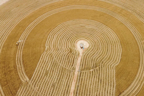 La Banque mondiale appelle à « réorienter drastiquement » le système agroalimentaire mondial | Vers la transition des territoires ! | Scoop.it