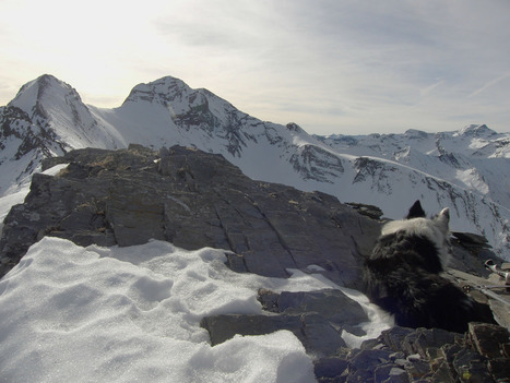 Goofy au pic de Cuneille - Simon d'Etache | Vallées d'Aure & Louron - Pyrénées | Scoop.it