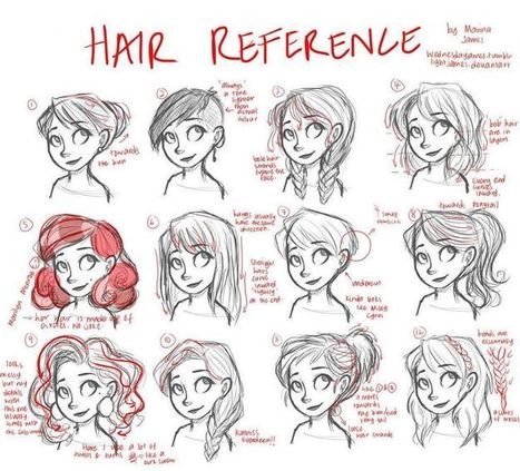 Hair Reference Guide | Drawing References and Resources | Scoop.it