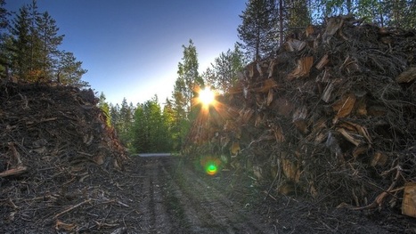 Finland to be carbon neutral by 2035. One of the fastest targets ever set | Energy Transition in Europe | www.energy-cities.eu | Scoop.it