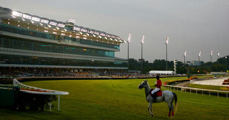 Horse racing-Singapore to end 180 years of horse racing in 2024 | Racing News | Scoop.it