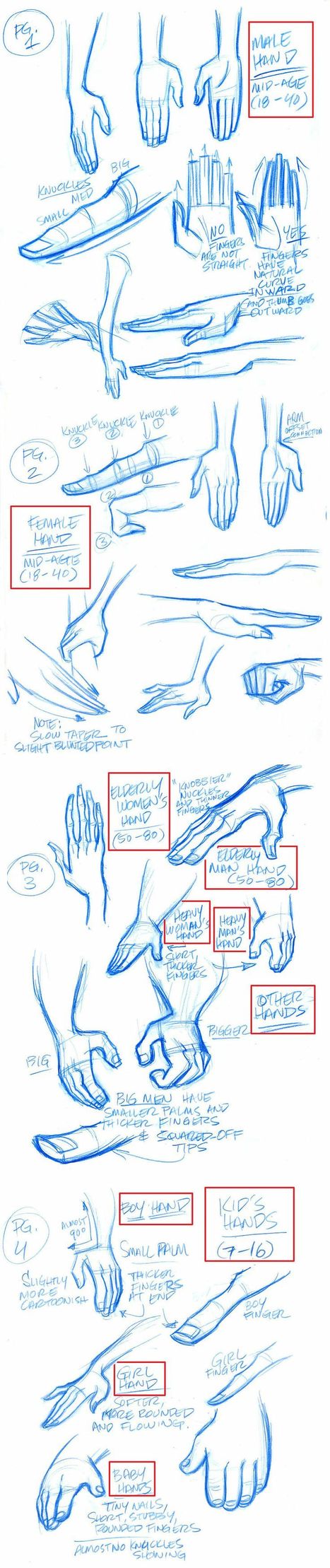 Hand Anatomy Reference Guide | Drawing References and Resources | Scoop.it