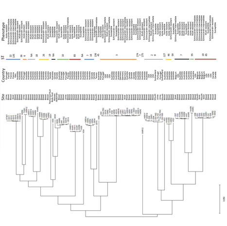 Insights into genetic diversity and drug resistance based on large-scale genome sequence analysis | iBB | Scoop.it