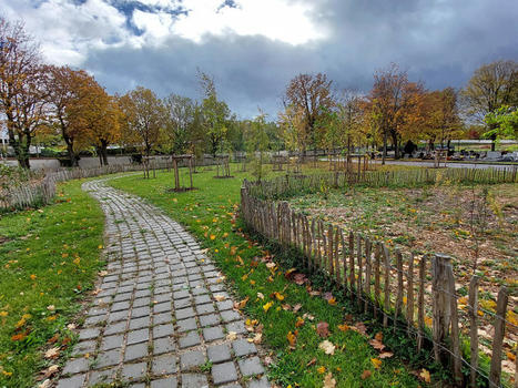 Végétalisation, rues-jardins, mini-forêts... Le plan de Nancy pour lutter contre le réchauffement climatique | Lorraine Actu | La SELECTION du Web | CAUE des Vosges - www.caue88.com | Scoop.it