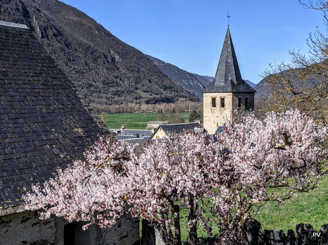 Fl'oraison bourispoise | Vallées d'Aure & Louron - Pyrénées | Scoop.it