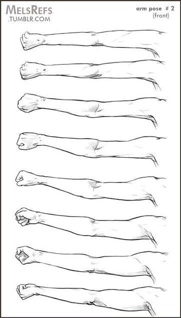 Arm Drawing Reference Guide | Drawing References and Resources | Scoop.it